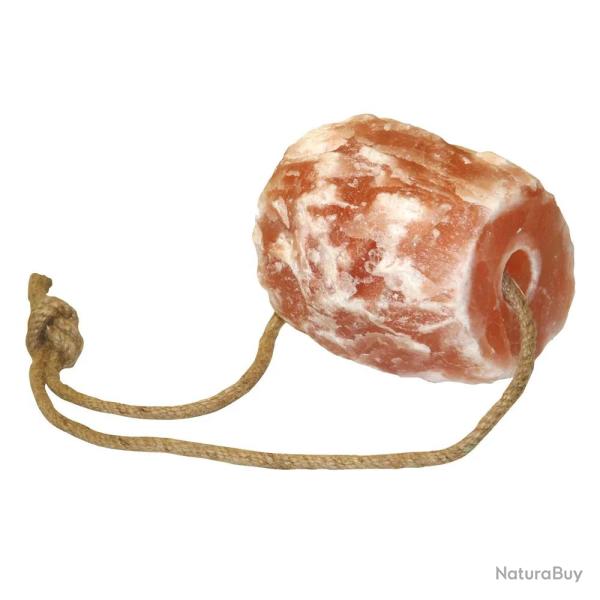 Pierre  sel  lcher Himalaya