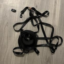 Longe pour chien  noire 30 m
