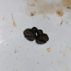 Militaria Allemand WW1 / WW2 Lot de 2 Vis Sécurité Mauser G98 / 98k