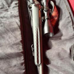 Carabine ruger