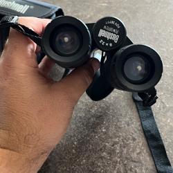 Jumelle bushnell 8x32