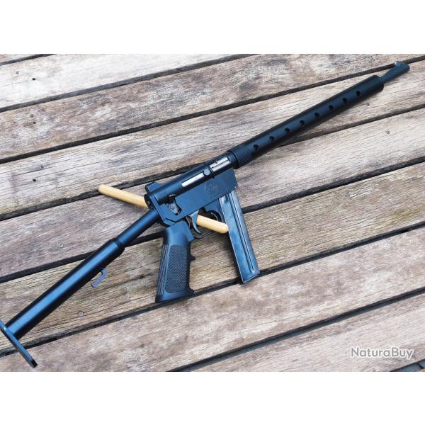 Carabine Armalite AR-7 Explorer - Cal.22lr *1 sans prix de reserve*