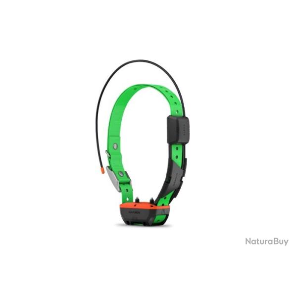 Collier de suivi et de dressage TT 25f