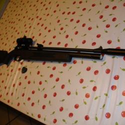 carabine a plomb 4.5mm Snowpeak PR900W G2 PCP