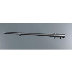 Canon blaser R8 308win