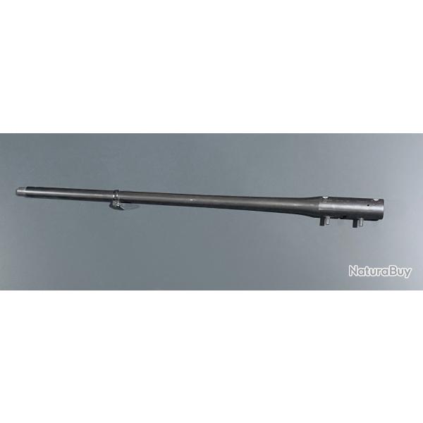 Canon blaser R8 308win