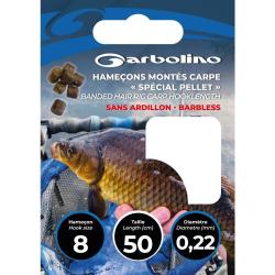 HAMECONS MONTES CARPE SPECIAL PELLET - 10 - GARBOLINO