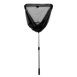 EPUISETTE CARNASSIER - 1M50 - 