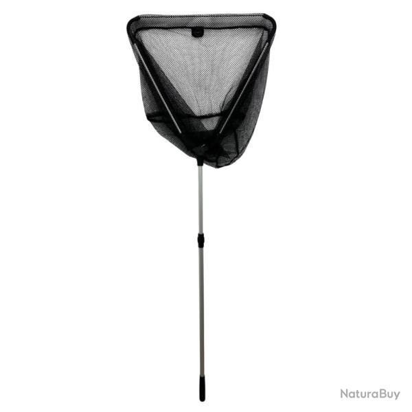 EPUISETTE CARNASSIER - 2M50 - 