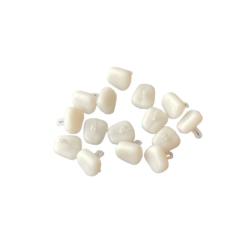 STOP APPAT MAIS COULANT X15 - Blanc - 