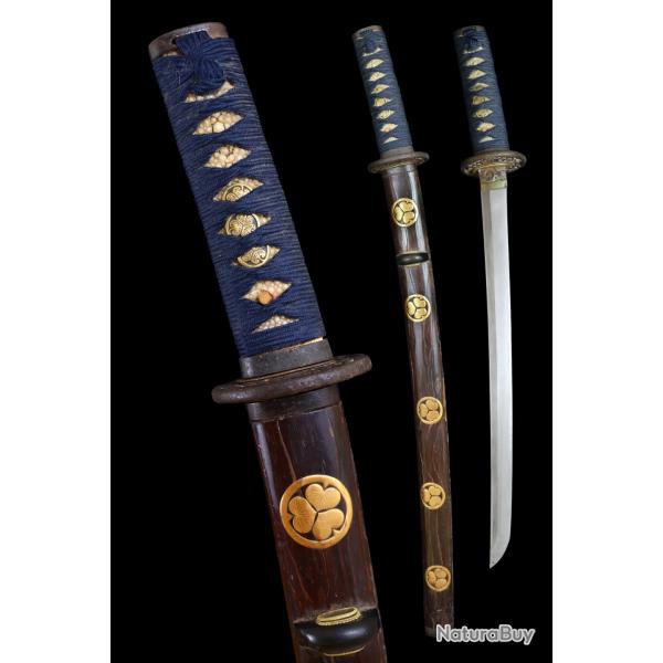 N75 - Wakizashi �re Edo sign� Iga no Kami Fujiwara Kanemichi