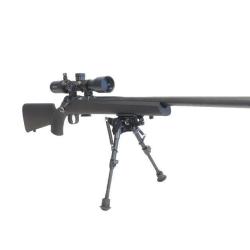 PACK CZ 457 VARMINT SYNTHETIQUE 22LR