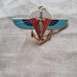 Insigne  r&eacute;gimentaire  ( 13 )