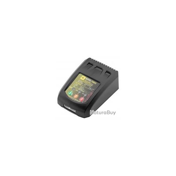 CHARGEUR LIPO / LIFE / NIMH / NICD BALANCE