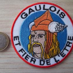 &eacute;cusson patriotique gaulois insigne collection vintage