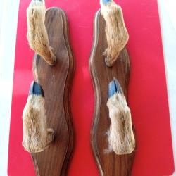 Porte fusil mural en pattes de chevreuil pour deux armes