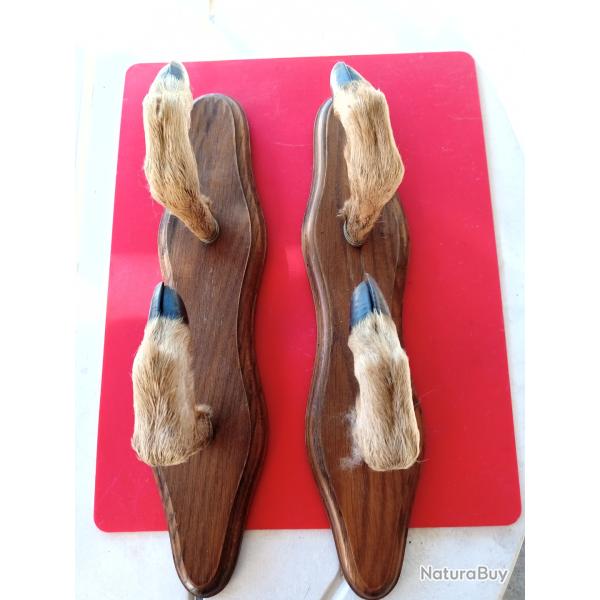 Porte fusil mural en pattes de chevreuil pour deux armes