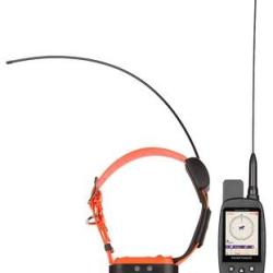 Pack collier de repérage Num'axes canicom GPS 2