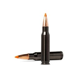 Balles Norma Tipstrike Silencer - Cal. 308 Win - 170 gr / 11 g / Par 1