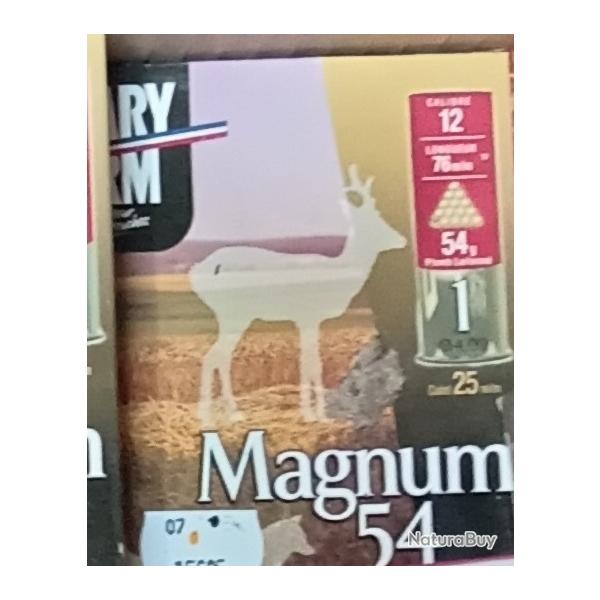 mary arm magnum 54