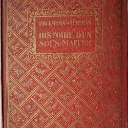 Histoire d'un sous-maître - Erckmann-Chatrian