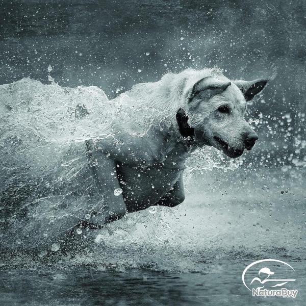 COLLIER SUPPLEMENTAIRE TEK 2.0 1.5