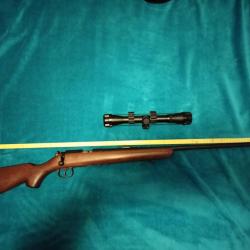 Carabine 22lr Norinco JW 15 avec Lunette, silencieux et housse