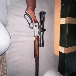 Chiappa la322 take down