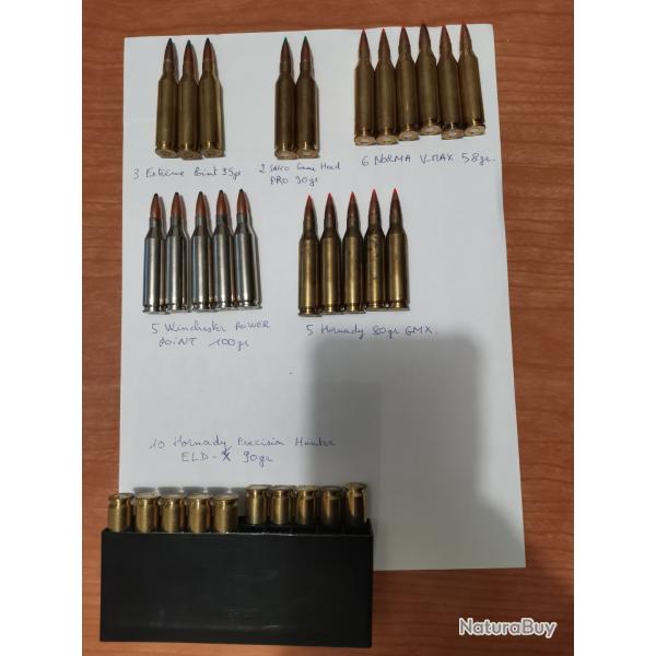 Balles 243 win Winchester Norma Sako Hornady