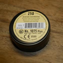 Boite de 250 Amorces RWS 1075 Plus