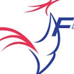 22 SPARCLETTES  12 GRAMMES CO2  PRODUIT POUR PLUS DE PROTECTION ECONOMIQUE