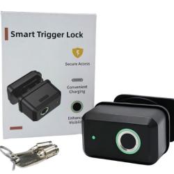 Verrou de pontet biom&eacute;trique