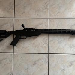 Ruger Précision 22
