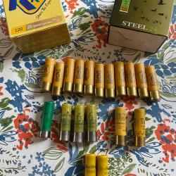 69 cartouches calibre 20 chasse