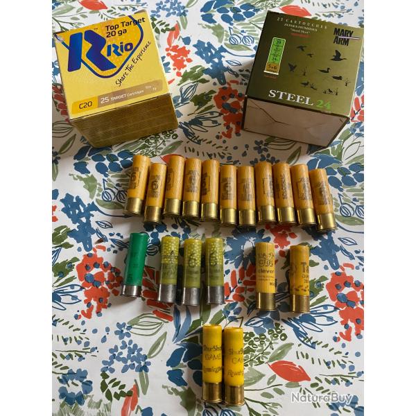 69 cartouches calibre 20 chasse