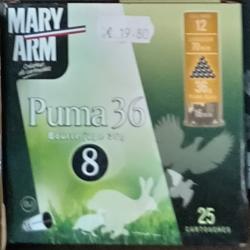 mary arm puma 36