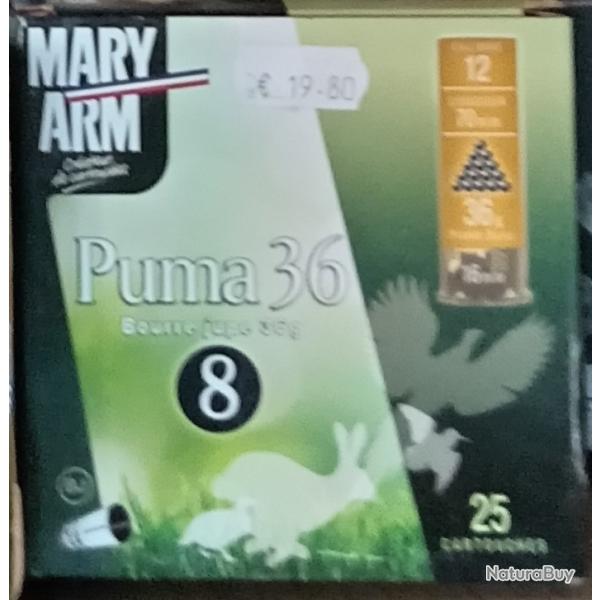 mary arm puma 36