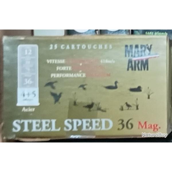 mary arm steel speed36