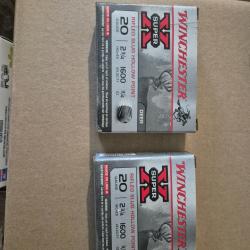 Balle winchester cal20