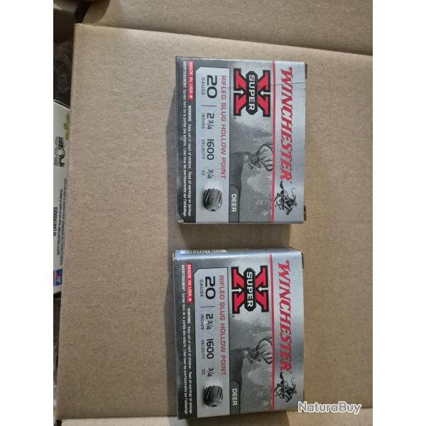 Balle winchester cal20