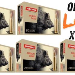 Lot munitions Norma PPDC Pointe Plastique 180g - Cal. 300 WM - X100 munitions