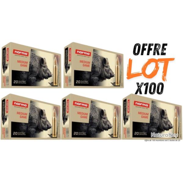 Lot munitions Norma PPDC Pointe Plastique 180g - Cal. 300 WM - X100 munitions