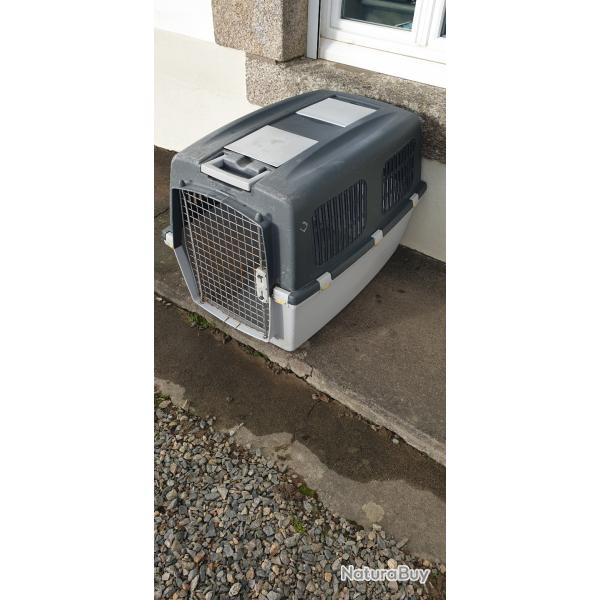 Caisse de transport chien