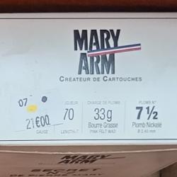 mary arm secret n2