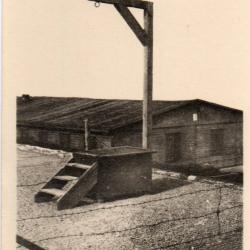 CPA -STRUTHOF- La Potence au camp de concentration allemand  N&deg;4348