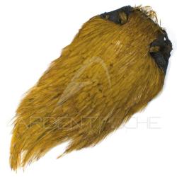Cous de coq Dry Fly teint&eacute; olive