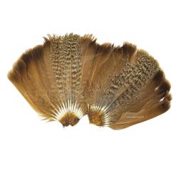 perdrix queue compl&egrave;te