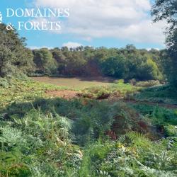 Propriété de chasse & Agrément en Haute-Vienne d'environ 40 hectares DF-625-A