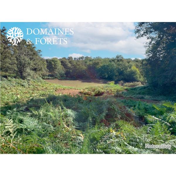 Propri�t� de chasse & Agr�ment en Haute-Vienne d'environ 40 hectares DF-625-A