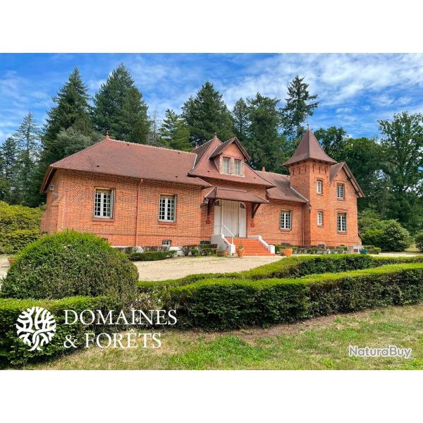 Propri�t� de Chasse & Foresti�re dans le Loir-et-Cher en pleine Sologne - 236 hectares DF-1012-S